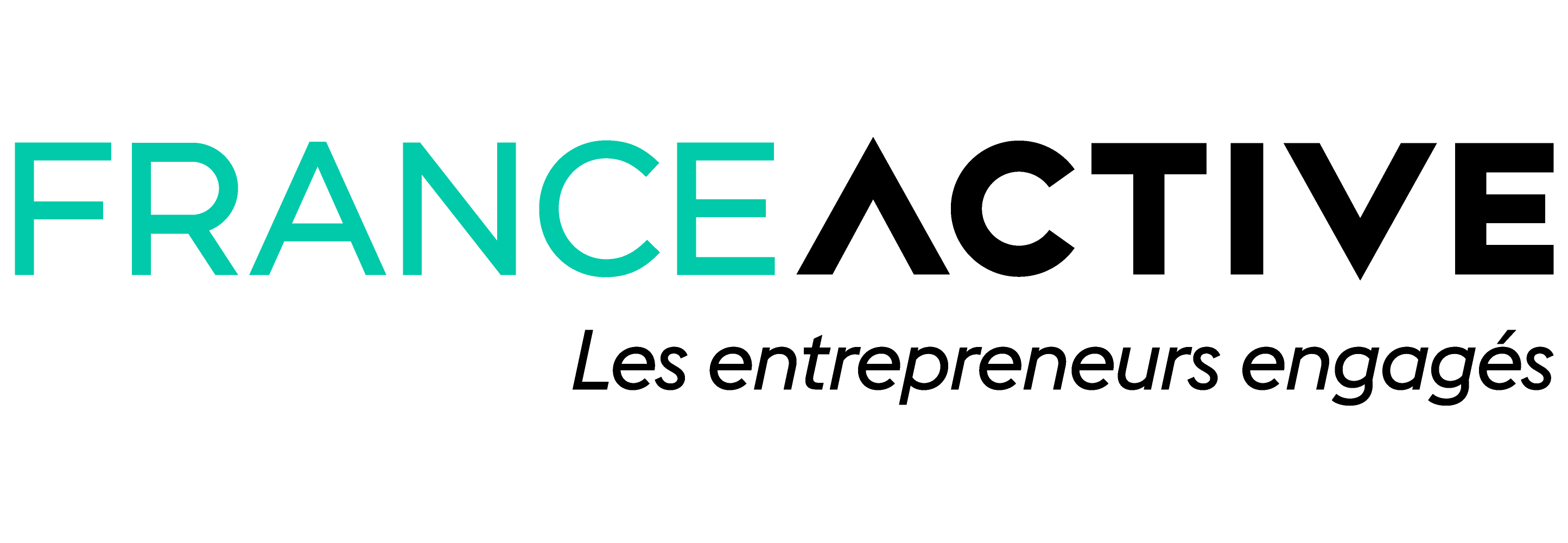 France active logo_0